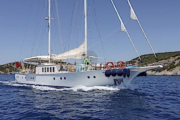 GAZELLA