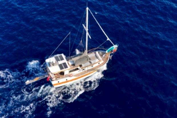 ANKA 35.