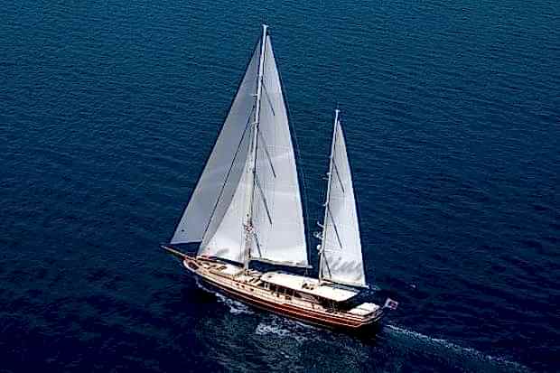 DAIMA